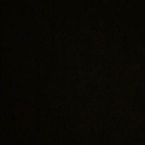 Meet your Posher, Mackenzy